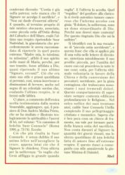 Revista 31
