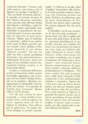 Revista 31