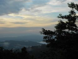 Foto de Archivo -Daimiel (Cerro azul-Panamá)