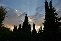 El cielo sobre los cipreses-desde el convento