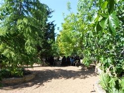 Foto desde la huerta del convento en Daimiel