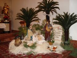 Navidad 2008 -Andujar